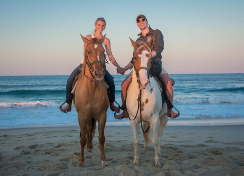 Horse riding with beach & Swimming
