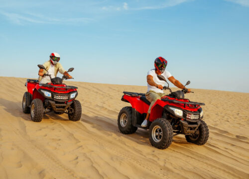 Morning Quad Bike Safari