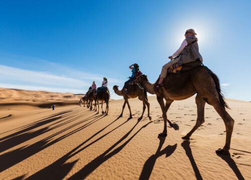 Family Safari Morning with Bedouin Village